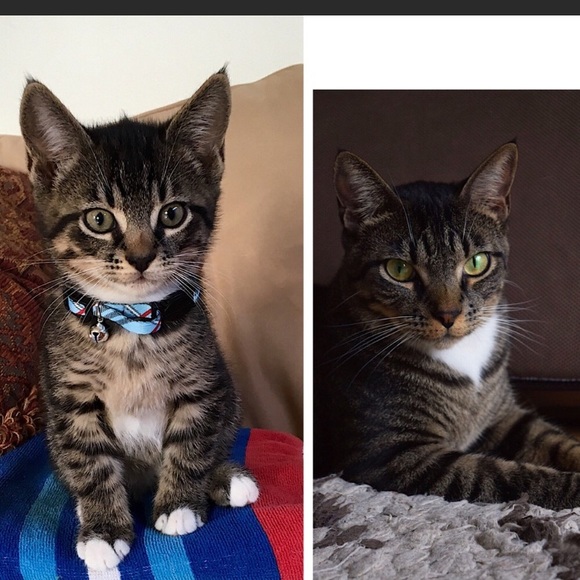 MEET YOUR POSHER - Picture 3 of 7